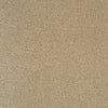 Artisan Alora Cervati carpet swatch