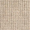 Hibiscus Dot Two carpet texture and colour