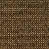 Hibiscus Spice Clove 5 carpet texture and colour
