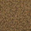 Hibiscus Spice Nutmeg 4 carpet texture and colour