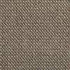 Hibiscus Spice Poppy Seed 1 carpet texture and colour