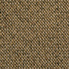 Hibiscus Spice Fennel 3 carpet texture and colour
