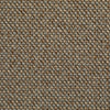 Hibiscus Spice Sesame 2 carpet texture and colour