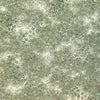 Brintons Fresco Whispering Grass Sage carpet swatch