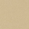 Brintons Bell Twist Indian Ivory carpet swatch