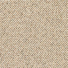 Brockway Discovery Trail carpet swatch
