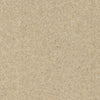 Purely Natural Twist Lowick Beige Brintons