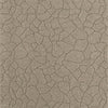 Brintons Country Life Roots Bamboo carpet swatch