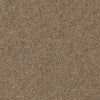 Brockway Rosedale Knottside carpet swatch