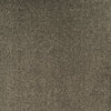 Elements London Scenario Bay Leaf carpet colour and texture