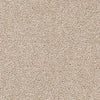 Brockway Solar Guacamole carpet swatch