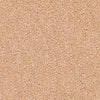 Brockway Solar Mustard carpet swatch