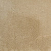 Elements London Synergy Dairy Cream carpet colour and texture