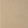 Brintons The Velvet Cordelia Beige carpet swatch