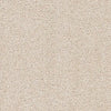 Dimensions Plain 40 Champagne - Interiors By Sutton