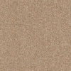 Dimensions Plain 40 Seedhead - Interiors By Sutton