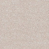 Dimensions Plain 50 Pale Stone - Interiors By Sutton
