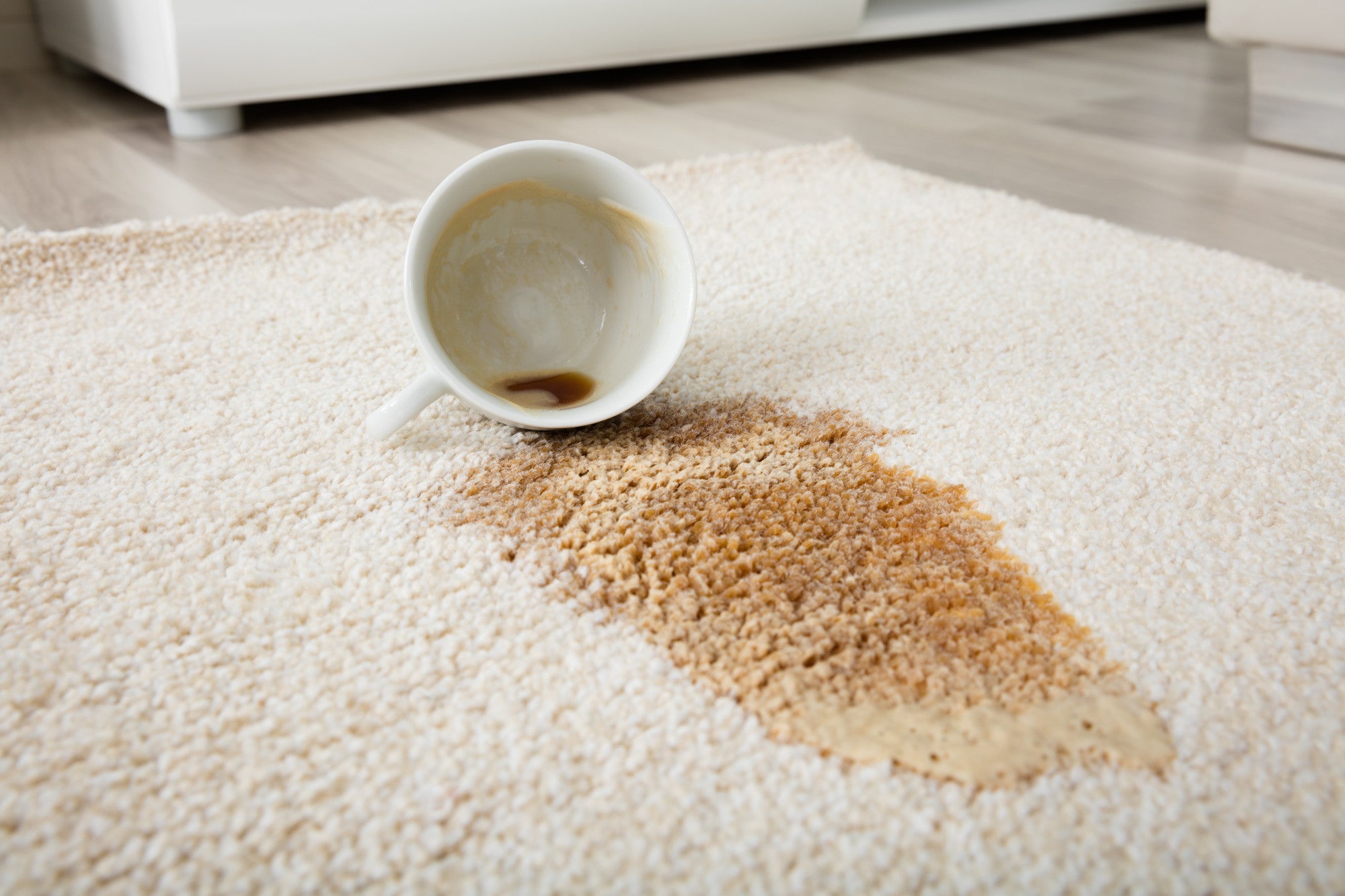 Steps to Keep Your Carpets Looking Like New - Protecting Your Investment