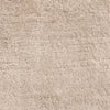 Kashmir Birch