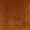 Kashmir Maple