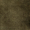Kashmir Olive