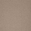 Brintons Bell Twist Parchment carpet swatch