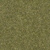 Brockway Dimensions Plain 50 Moss carpet swatch