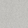 Brockway Dimensions Plain 40 Silver Frost carpet swatch