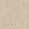 Brockway Discovery Scout carpet swatch