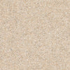 Brockway Lingdale Ryelstone carpet swatch