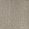 Elements London Scenario Turtle Dove carpet colour and texture