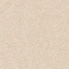 Brockway Solar Almond carpet swatch